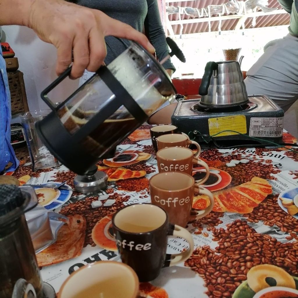Tour de café y cacao de La Candelaria Minca