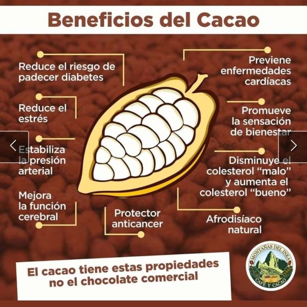 La Candelaria Minca Coffee Cacao Tour