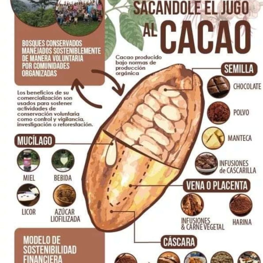 Tour de café y cacao de La Candelaria Minca
