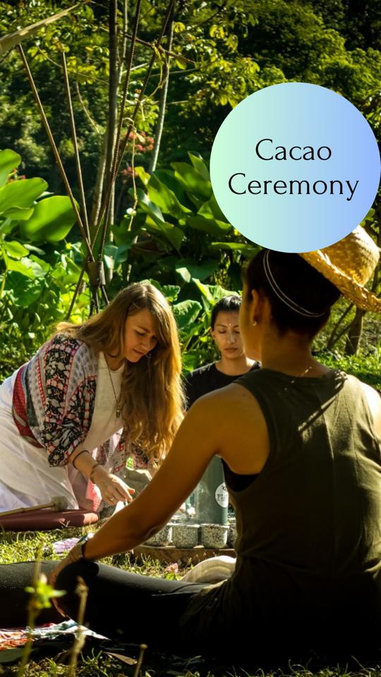 Mundo Nuevo Eco Lodge Minca Cacao ceremony Plan B