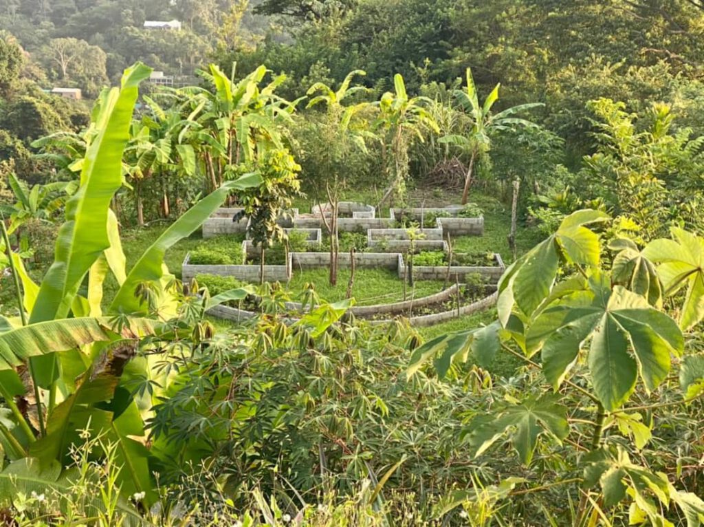 Tour Permacultura Mundo Nuevo Minca Colombia