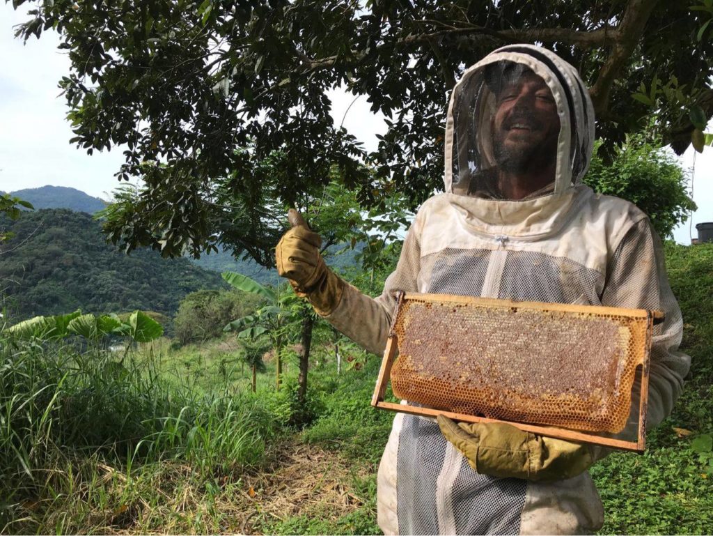 Plan Bee Honey Minca